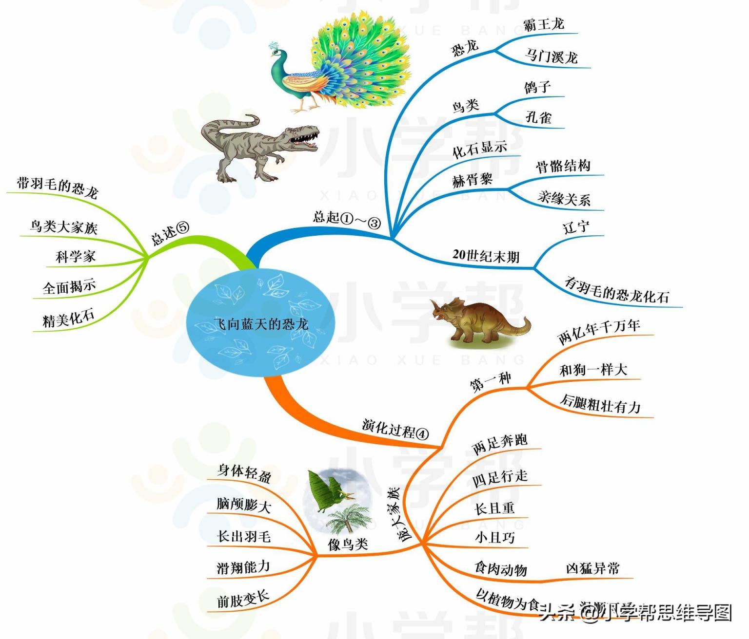 恐龙的思维导图怎么做图片