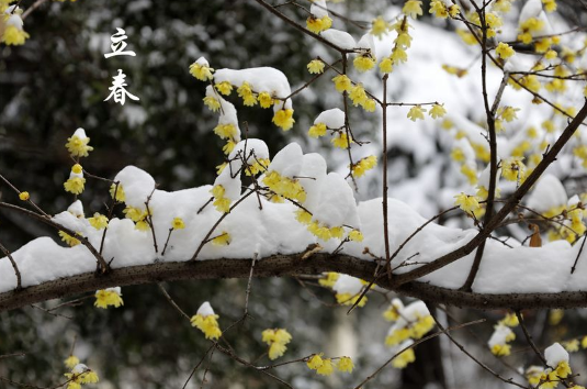 躲春白天可以见阳光吗