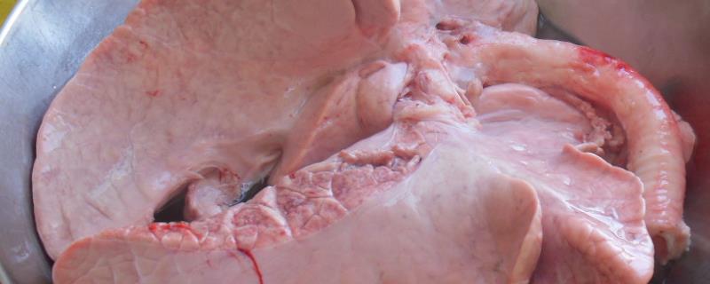 怎么洗猪肺，猪肺吃了有害处吗（如何洗猪肺?）