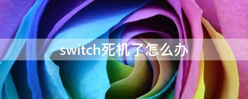 switch 死机 没反应 switch死机了怎么办